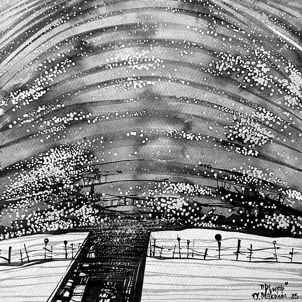 Зображення "Пухкий | Plump" від Олександр Макогон, розмір: 42 x 42 cm, матеріали: туш, бавовняний папір | ink, cotton paper, медіум: Графіка, ціна: $230 Фото 3 з 3.