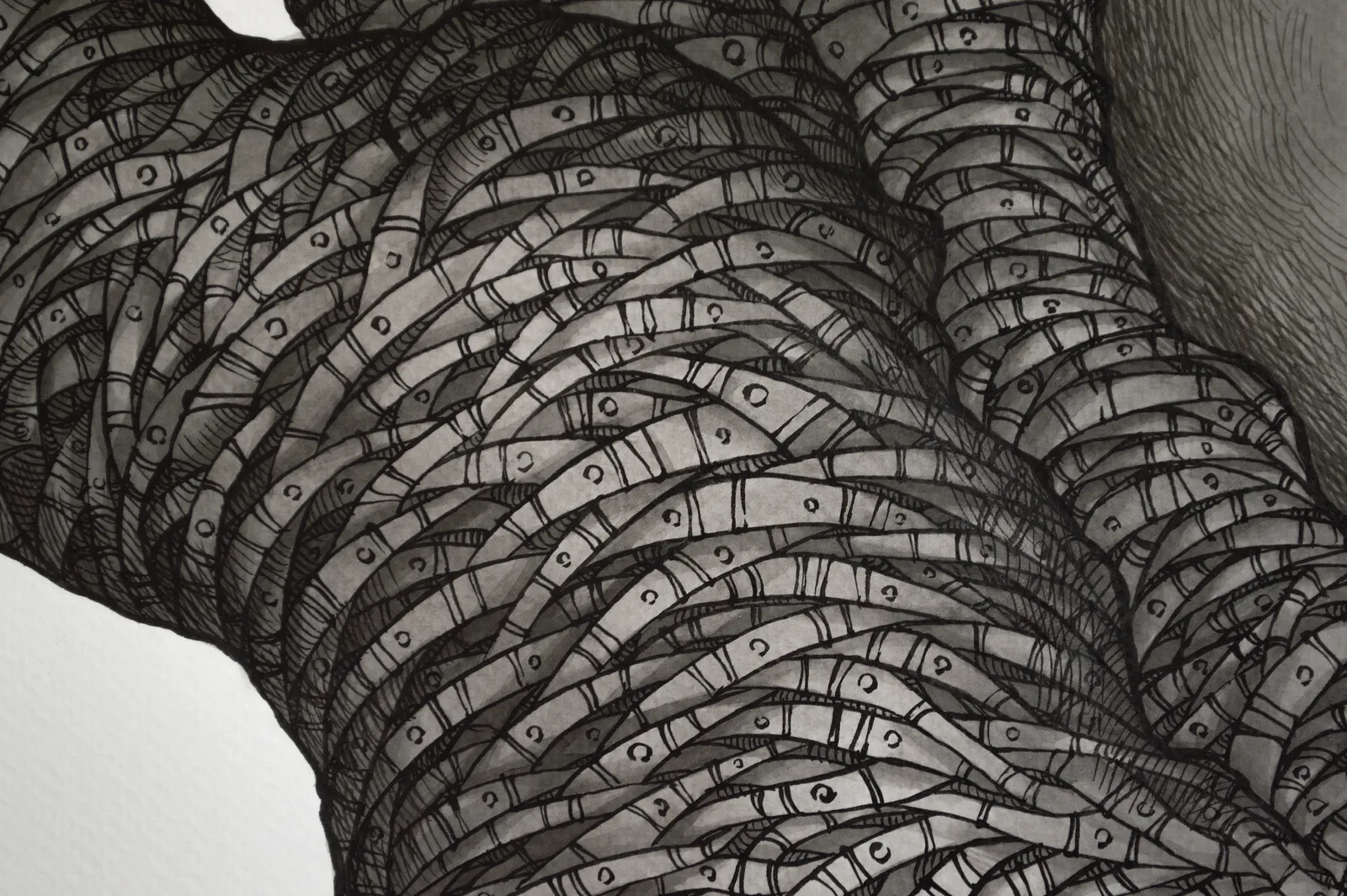 Зображення "Дерево Життя ІІ | Tree of Life II" від Олександр Макогон, розмір: 100 х 80 см, матеріали: туш, бавовняний папір | ink, cotton paper, медіум: Графіка, місто: Львів, Україна, серія: Tree of Life, ціна: $1000 (≈ 44 831 грн) Фото 12 з 13.