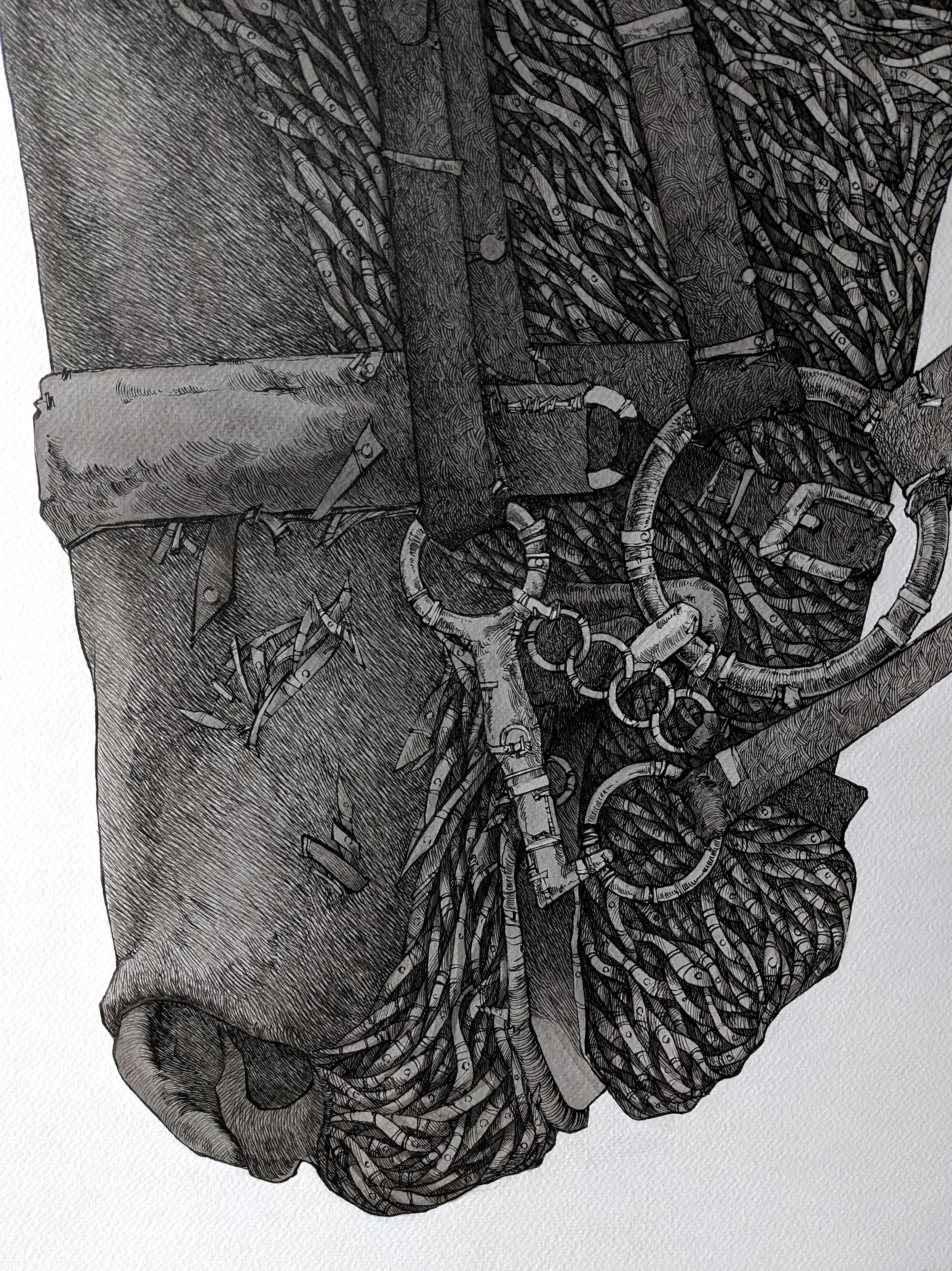 Зображення "Мислитель | Thinker" від Олександр Макогон, розмір: 100 x 80 cm, матеріали: туш, папір | ink, paper, ціна: $1000 Фото 4 з 12.